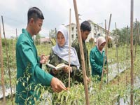 Executive Class Program Sumatera Selatan Nomor 10